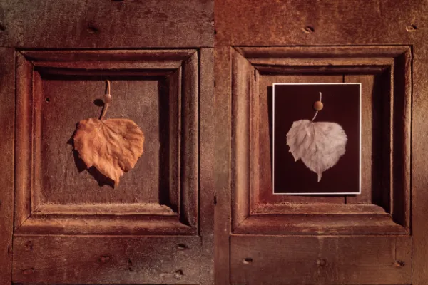 Miniatura per a La dimensió del temps en fotografia