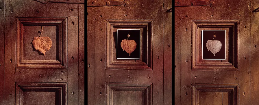 Toni Bover. Tempus Fugit, La llum com metàfora del llenguatge. 1990-94