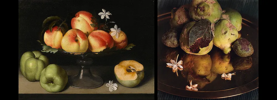 Fede Galizia. Alzata di frutta in cristallo con pesche, mele cotogne e fiori di gelsomino. 1607 / Toni Catany. Natura morta, 157. 1988