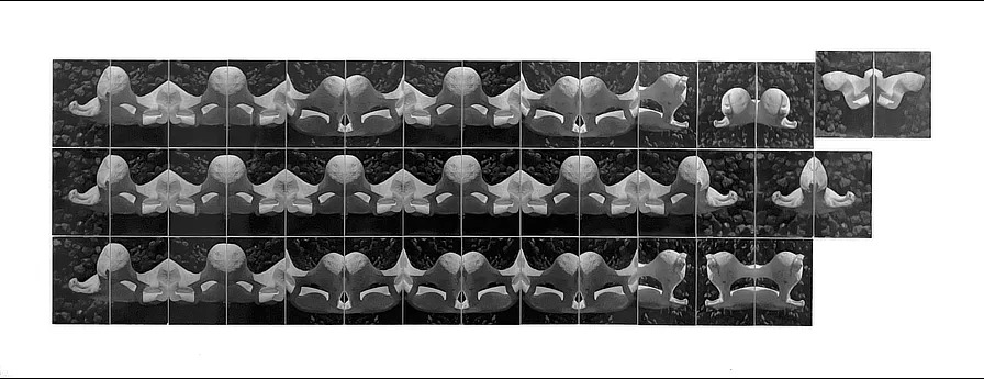 Toni Bover. Mosaïc fotogràfic. Anys 80