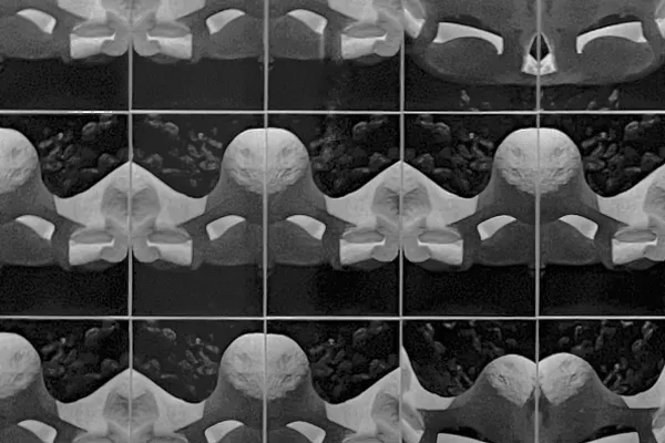Miniatura per a El mosaic fotogràfic analògic
