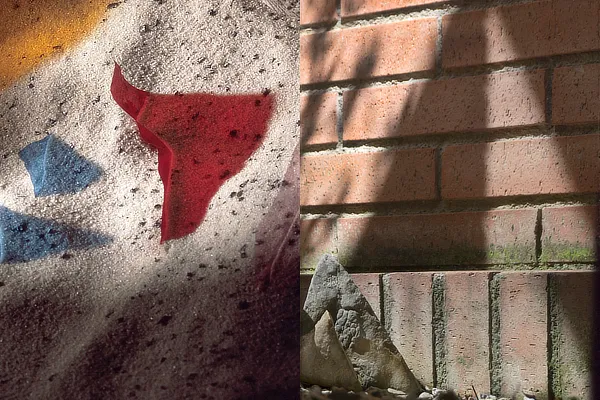 Miniatura per a La instantània creada, la instantània trobada
