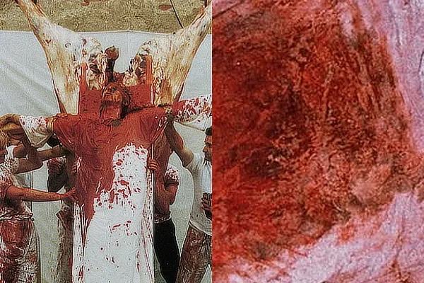 Miniatura per a La utilització de la mort, art conceptual i publicitat  (Jana Sterbak, Hermann Nitsch i publicitat de United Colors of Benetton) 
