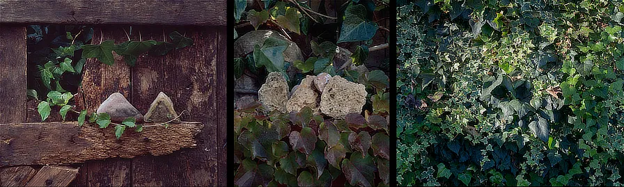 Toni Bover. La llum com metàfora del llenguatge. 1990-94 / Toni Bover. My little garden 073. 2018